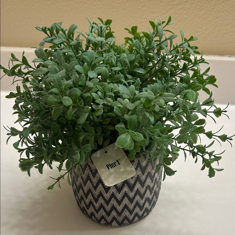 Pier 1 Faux Greenery in Chevron Planter